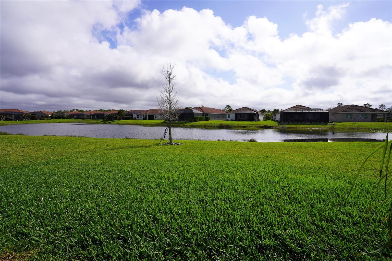 VENICE WOODLANDS PH 1 - Residential