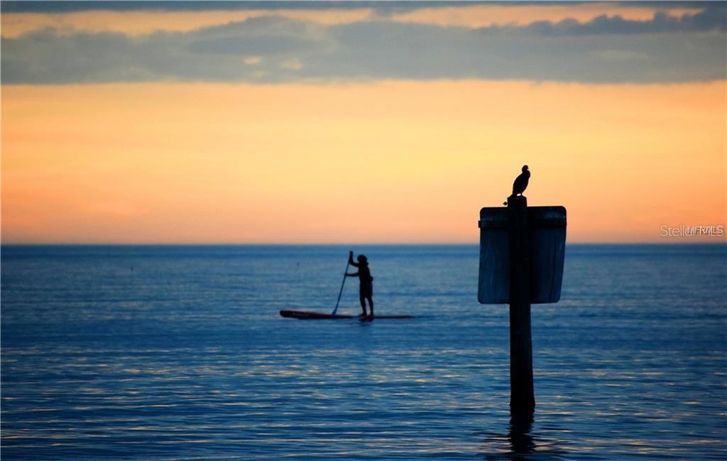 VENICE WOODLANDS PH 1 - Residential