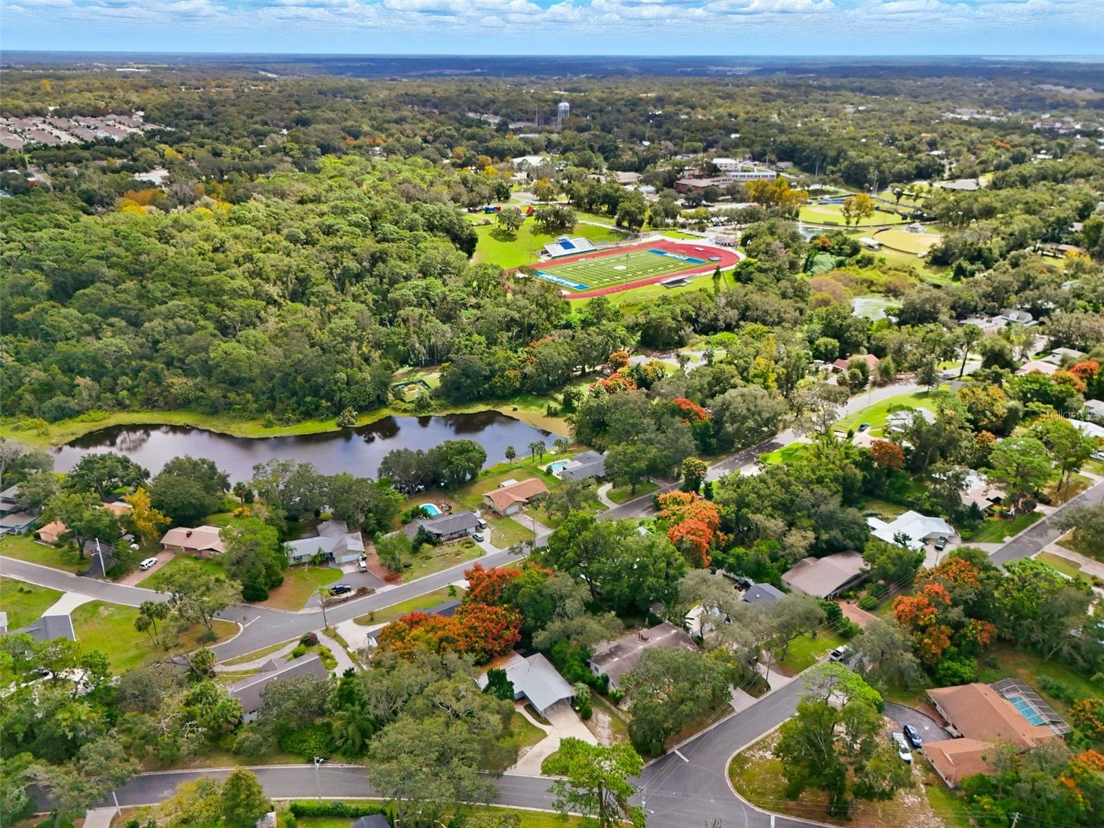 MOUNT DORA PINECREST SUB - Residential
