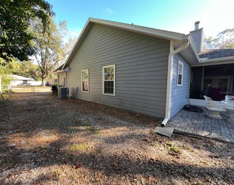 A home in MOUNT DORA