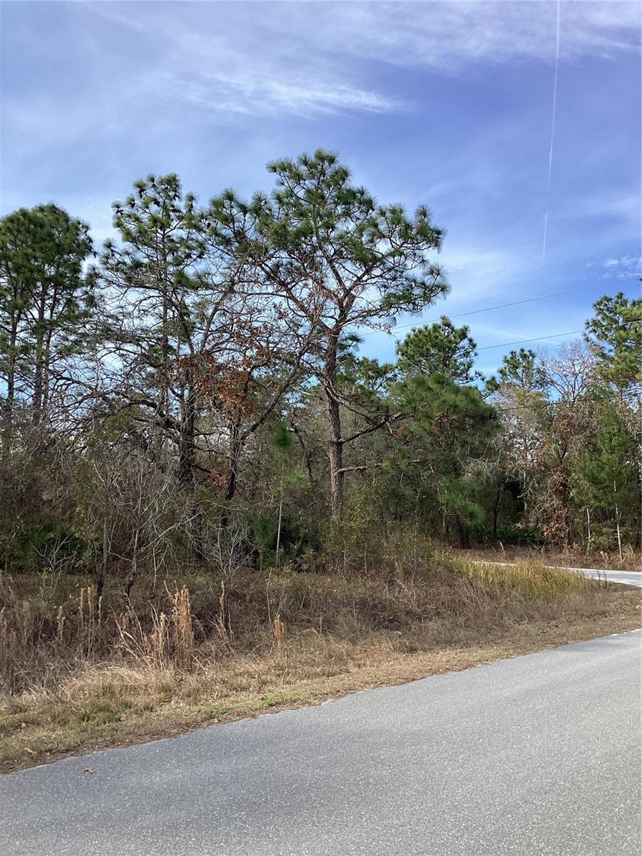 ROYAL HIGHLAND - Land