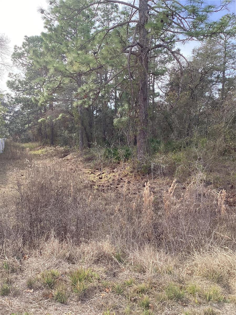 ROYAL HIGHLAND - Land