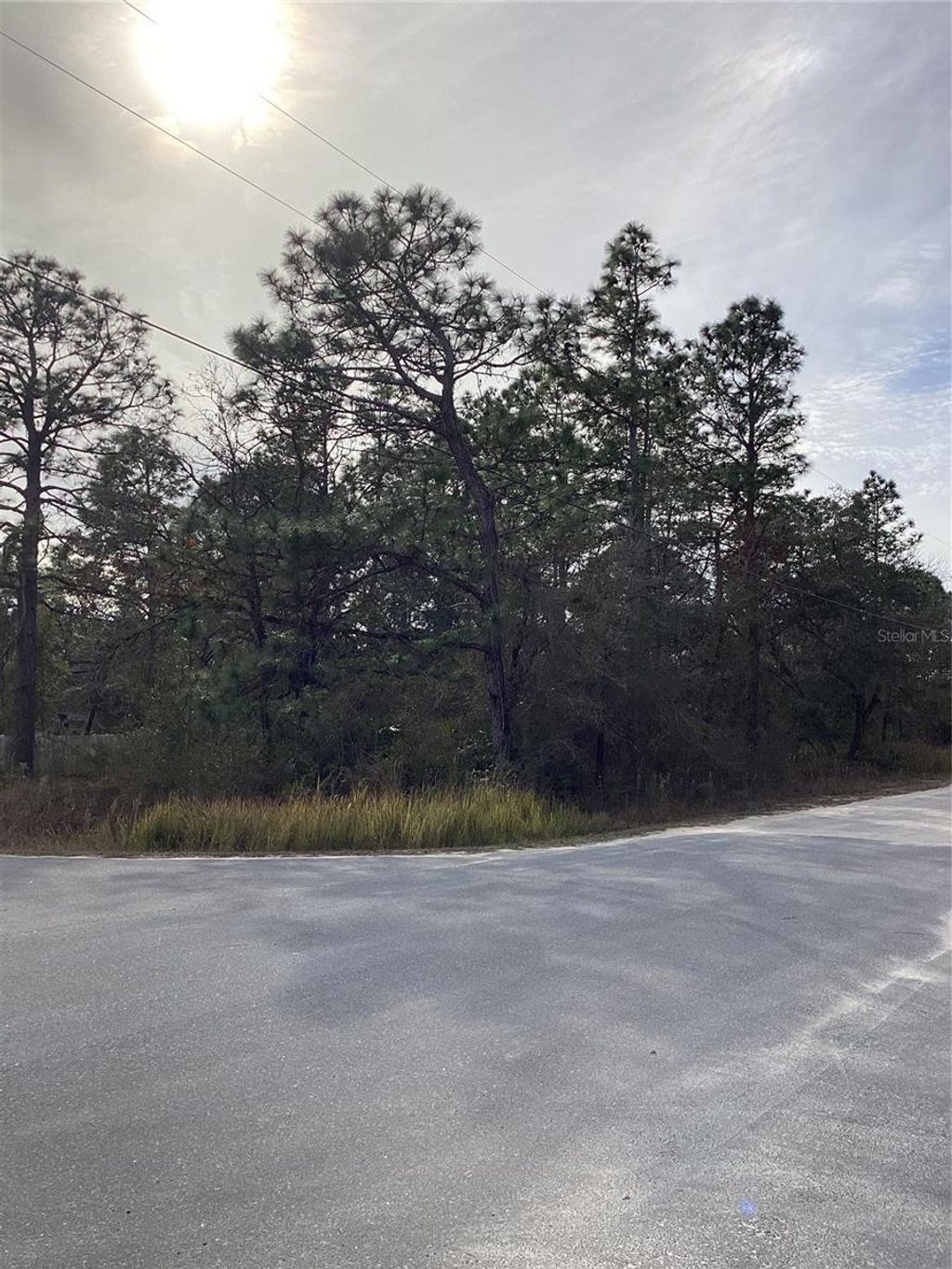 Photo of 12449 Indigo Bunting Rd, Weeki Wachee, FL 34614 (MLS # TB8471305)