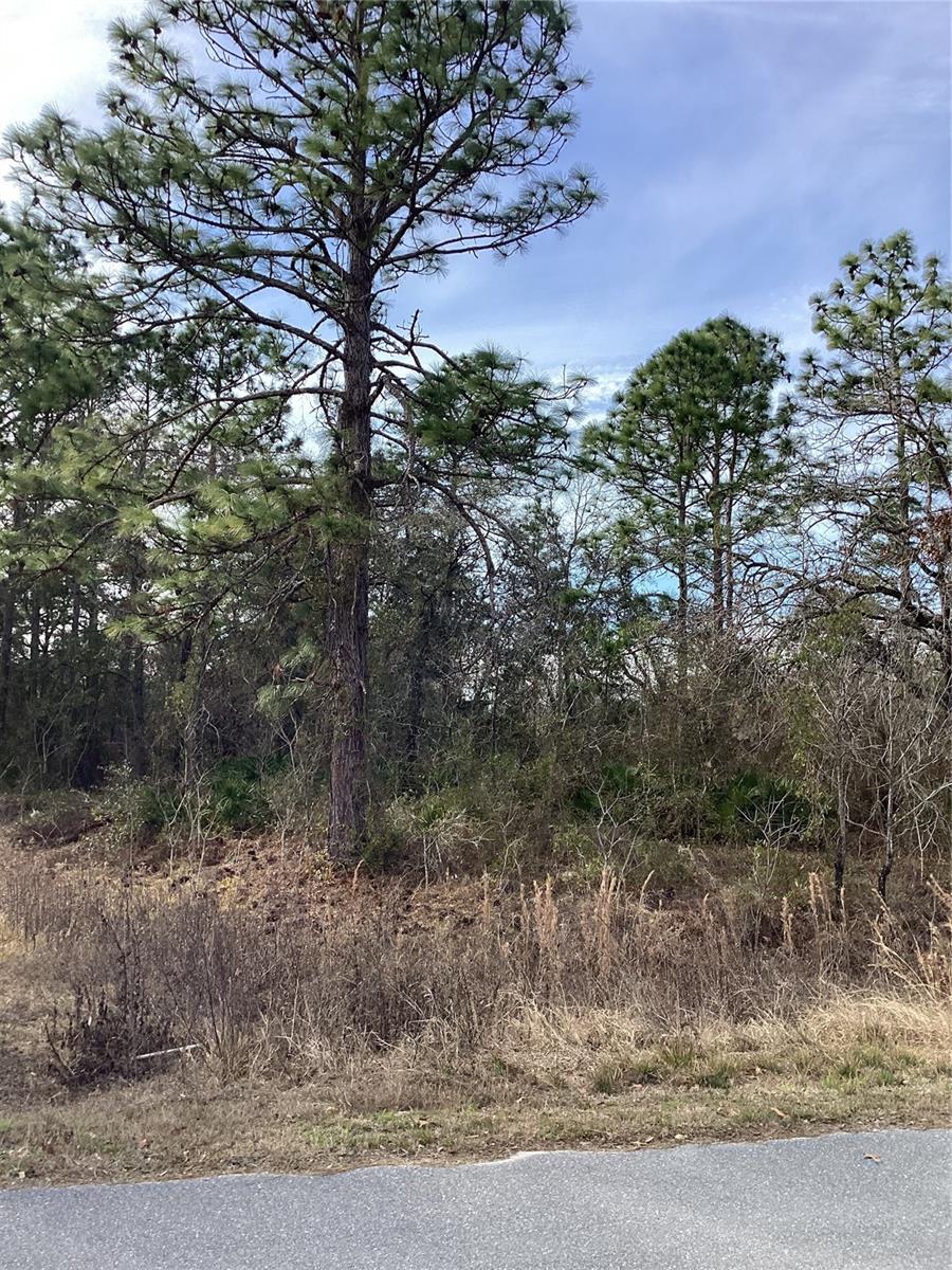 ROYAL HIGHLAND - Land