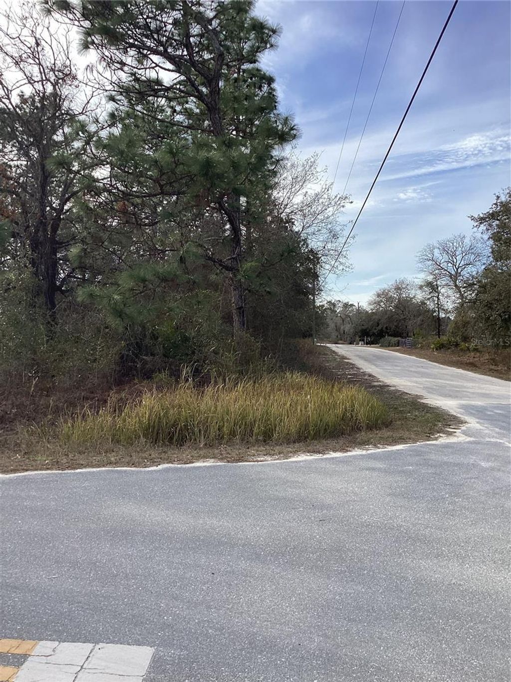 Photo of 12449 Indigo Bunting Rd, Weeki Wachee, FL 34614 (MLS # TB8471305)