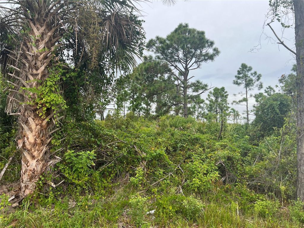 Photo of 8185 Dimstead Street, Port Charlotte, FL 33981 (MLS # A4665257)