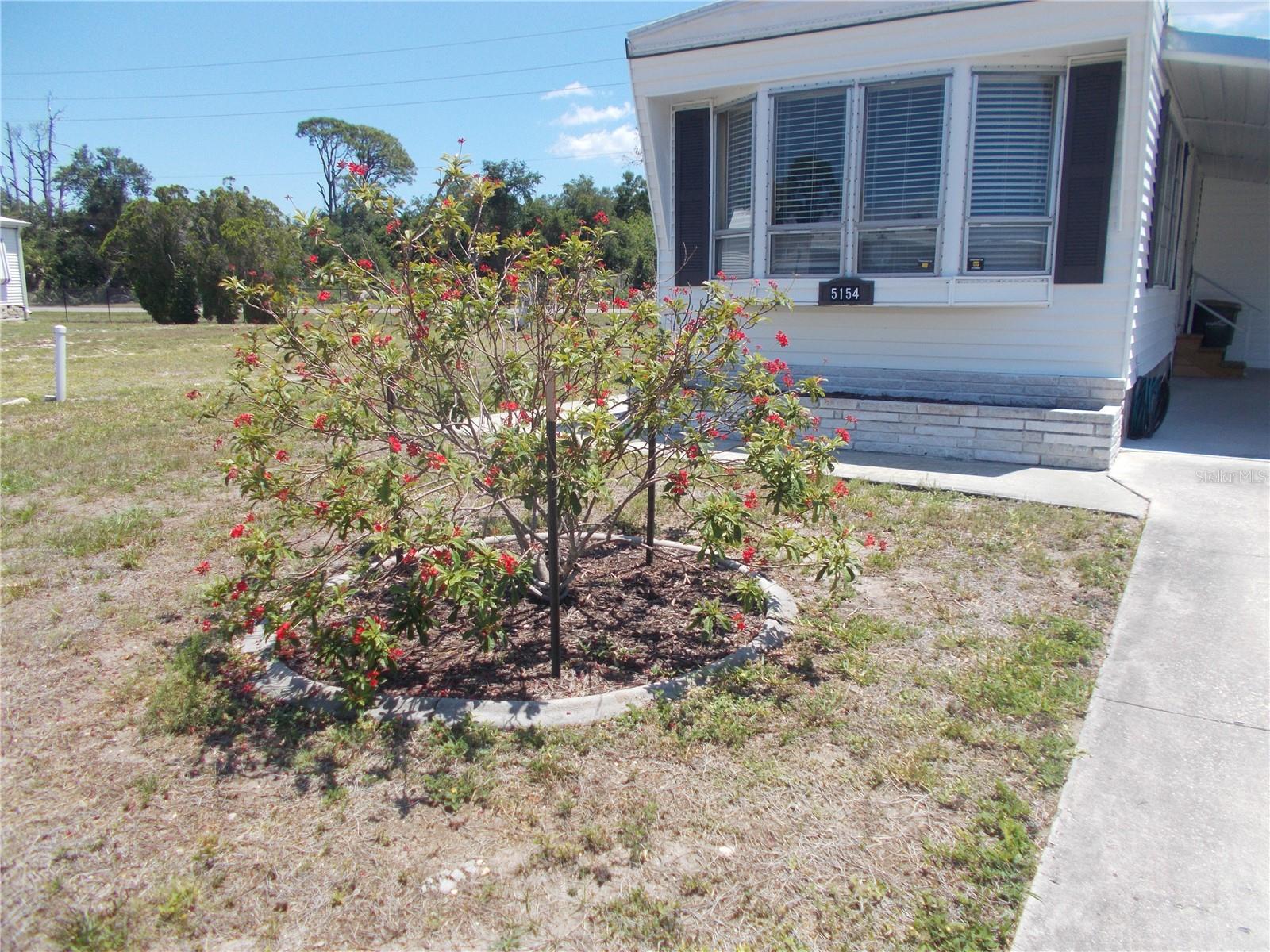 HOLIDAY PARK - Residential