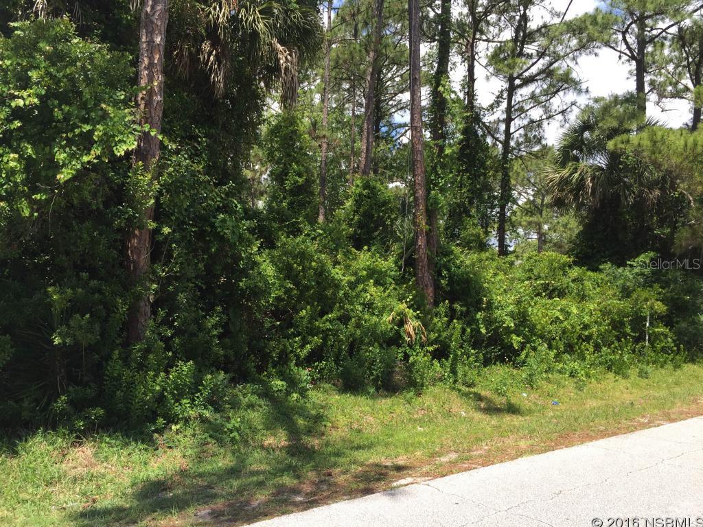 Florida Shores 01 - Land