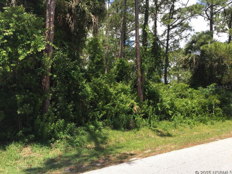 MAKE AN OFFER! LARGE ENOUGH FOR 1 DUPLEX. GOOD ELEVATION. VERIFY ZONING AND BUILDING REQUIREMENTS WITH CITY OF EDGEWATER.; Cleared: No ;Water: Available at Site