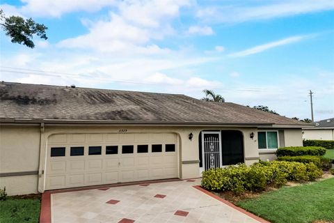 A home in SUN CITY CENTER