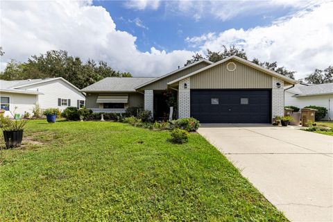 803 DUNDEE CIRCLE LEESBURG FL 34788