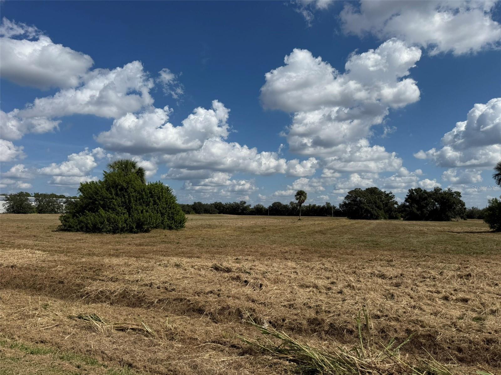 WHITFIELD PARK OF COMMERCE - Commercial Sale