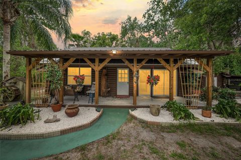 Photo of 133 Seminole Trail, Georgetown, FL 32139 (MLS # FC314493)