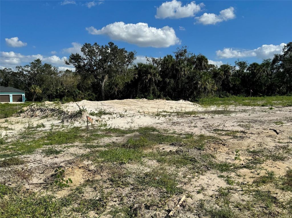 Photo of 161 Ray Street, Port Charlotte, FL 33954 (MLS # C7506381)