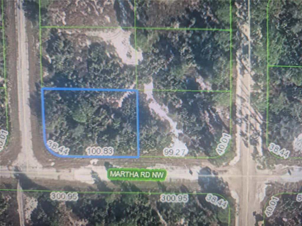 Photo of 220 Broach Street NW, Lake Placid, FL 33852 (MLS # O6425677)