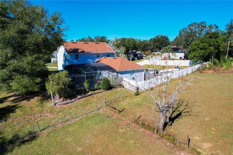 A home in MOUNT DORA