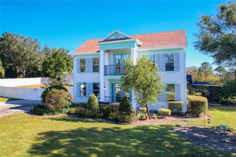 A home in MOUNT DORA