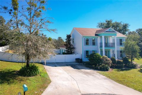 A home in MOUNT DORA