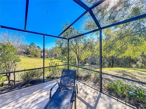 A home in MOUNT DORA