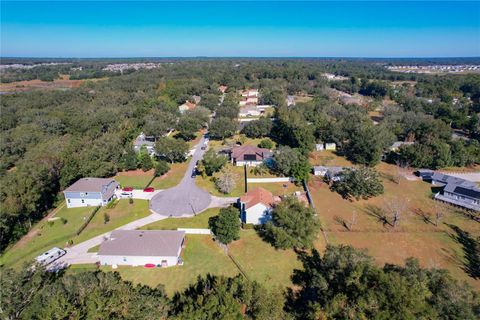 A home in MOUNT DORA