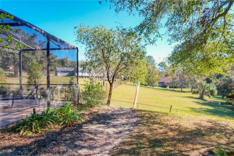 A home in MOUNT DORA