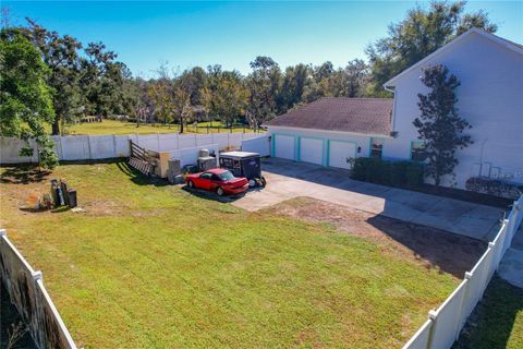 A home in MOUNT DORA