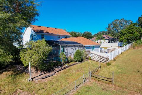 A home in MOUNT DORA