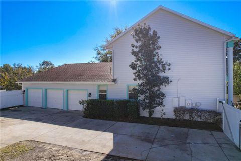 A home in MOUNT DORA