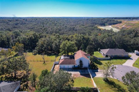 A home in MOUNT DORA