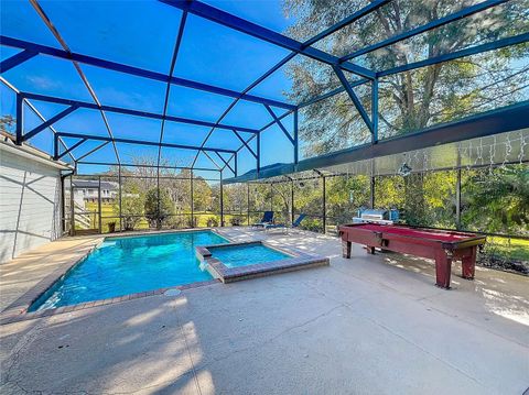 A home in MOUNT DORA