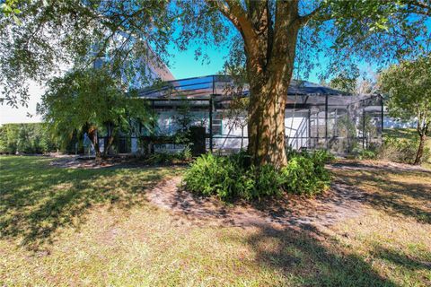 A home in MOUNT DORA