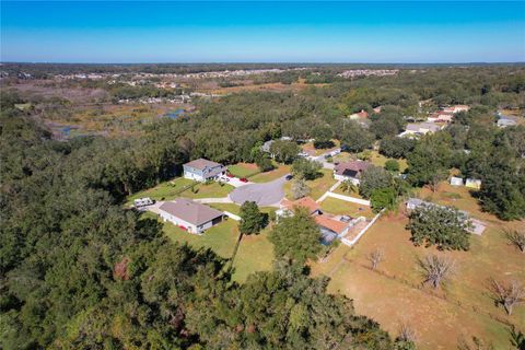 A home in MOUNT DORA