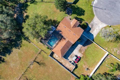 A home in MOUNT DORA