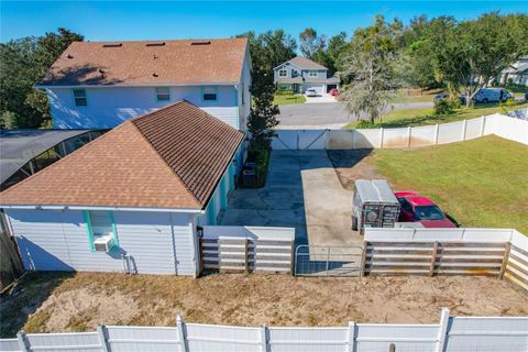 A home in MOUNT DORA