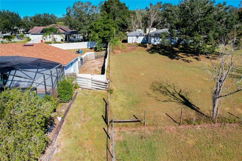 A home in MOUNT DORA