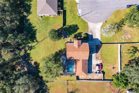 A home in MOUNT DORA