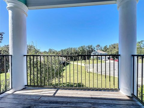 A home in MOUNT DORA