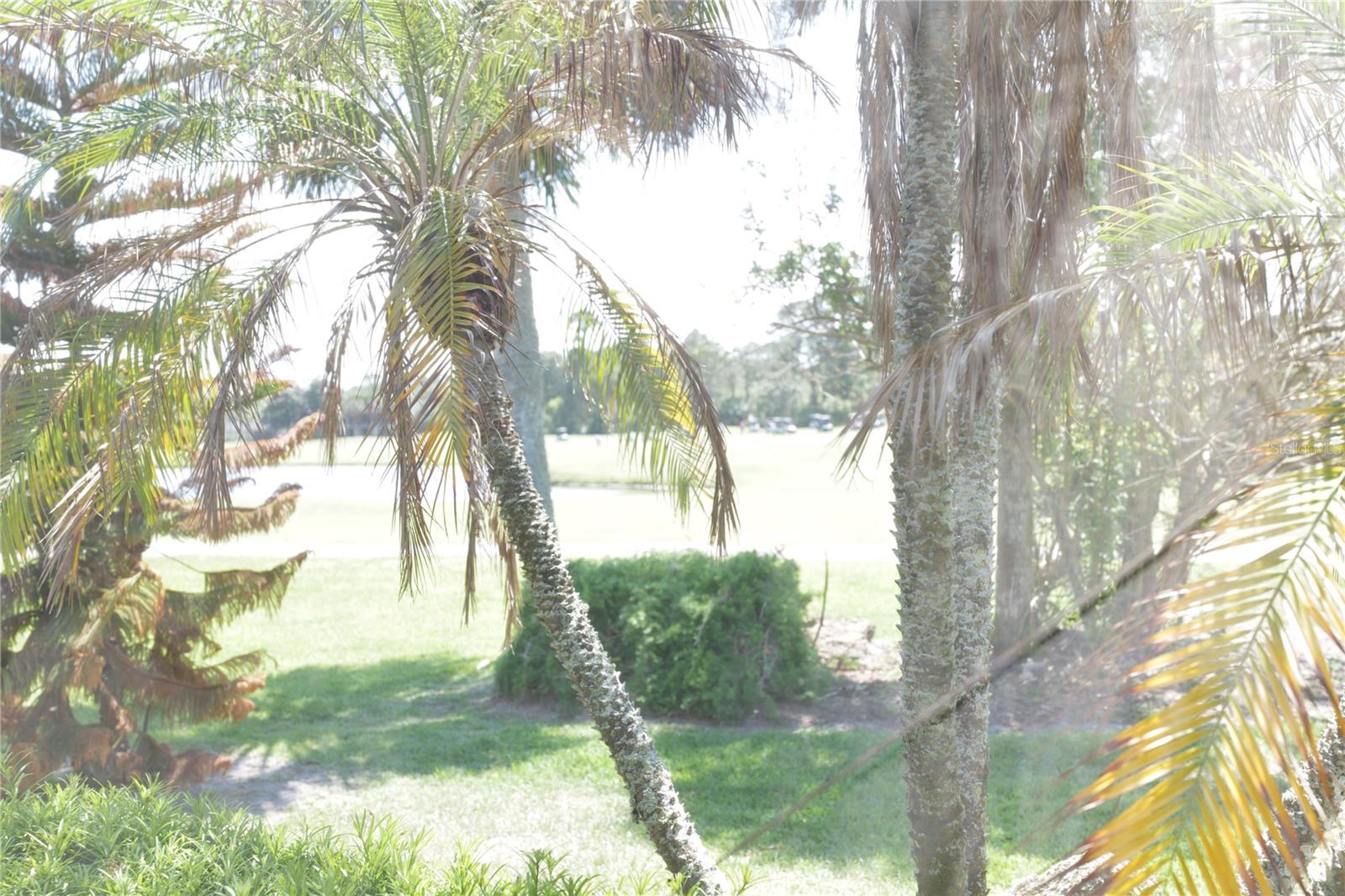 GRAND HAVEN - Residential