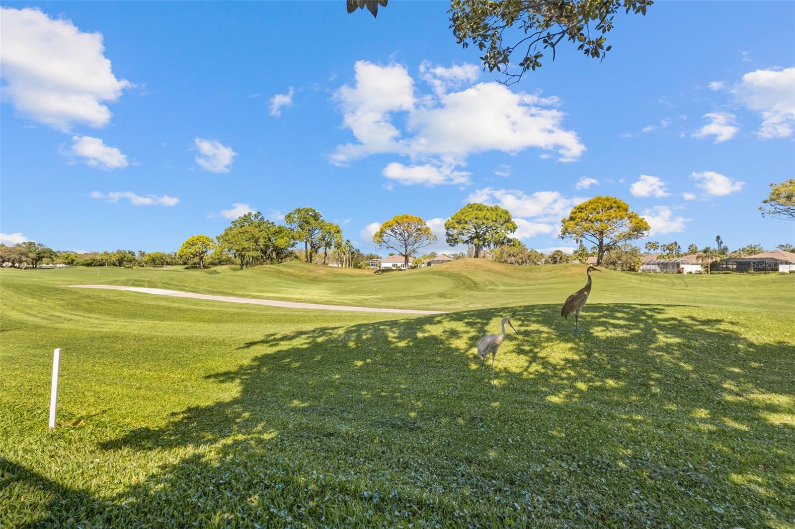 ROSEDALE 5 - Residential