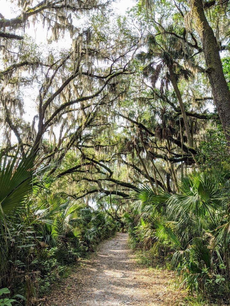 SPRINGVIEW UNIT 6 - Residential