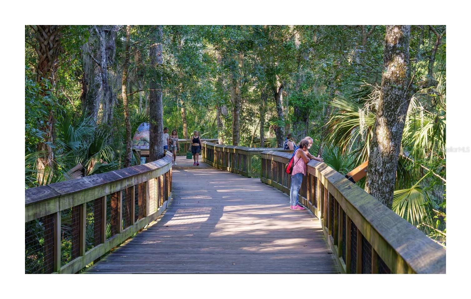 SPRINGVIEW UNIT 6 - Residential