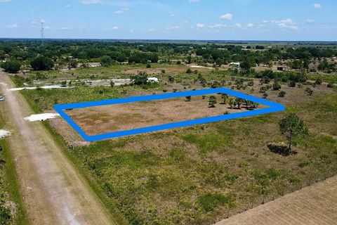 Photo of 18129 NW 312th Street, Okeechobee, FL 34972 (MLS # A4669755) Photo of 18129 NW 312th Street, Okeechobee, FL 34972 (MLS # A4669755)