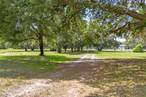 A home in DELAND