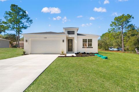 Photo of 11838 N Providence Way, Citrus Springs, FL 34433 (MLS # TB8469562)
