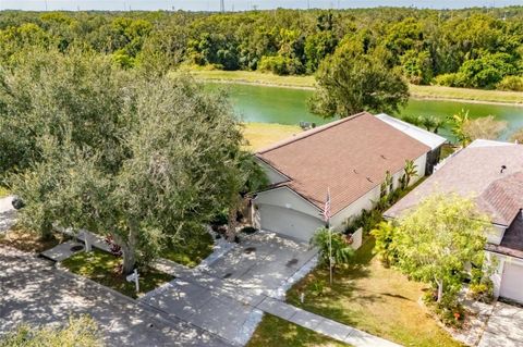 Photo of 10026 Creek Bluff Drive, Riverview, FL 33578 (MLS # TB8441222)