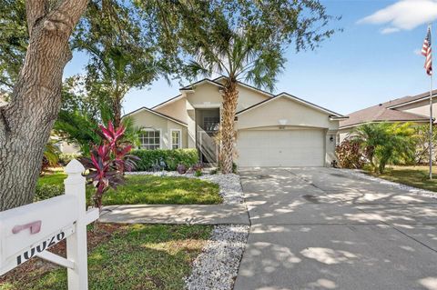 10026 CREEK BLUFF DRIVE RIVERVIEW FL 33578