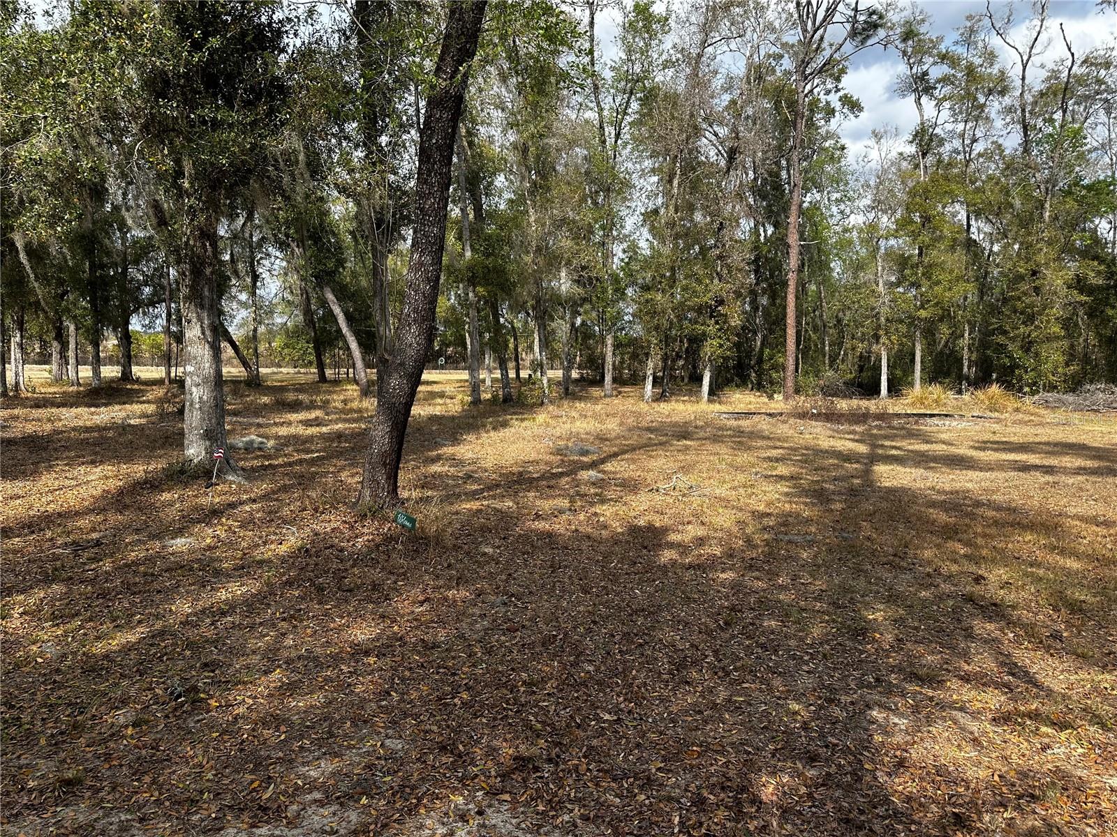 OAKWOOD ACRES UNREC SUB - Land