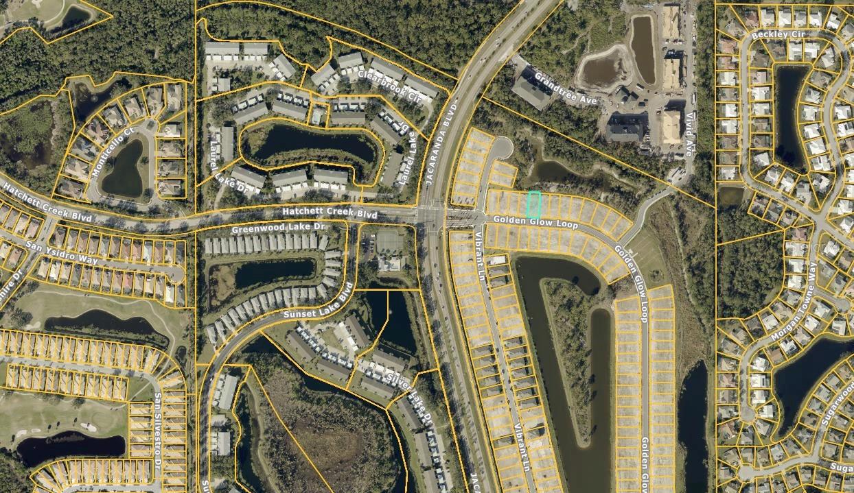 BRIGHTON JACARANDA - Land