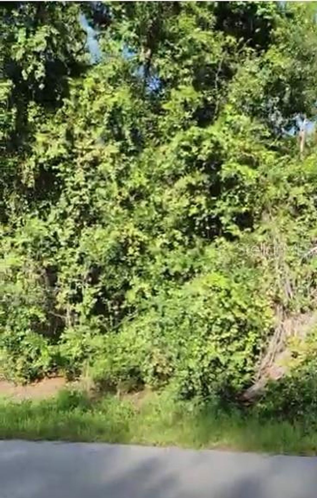 Photo of SE 97 Avenue, Summerfield, FL 34491 (MLS # G5100453)