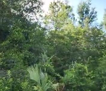 Oversized Wooded Lot – No HOA, Near The Villages!
Build your dream home on this spacious 100 x 125-foot homesite located in the desirable Orange Blossom Hills neighborhood in Summerfield, Florida. Enjoy the freedom of no HOA, no dues, and no building time restrictions. On top of that there are no age restrictions. This beautiful, thickly wooded lot provides natural privacy and a peaceful setting—perfect for your custom home, workshop, or RV garage.
A new well and septic system will be required, but that means no monthly water or sewer bills—a lasting benefit to your budget.
Located just 5 blocks from US Hwy 441, and only minutes to The Villages, you'll have fast access to Lowes, Home Depot, restaurants, grocery stores, golf courses, and plenty of job opportunities. Also close by: I-75, US 301, Ocala, and Lake Weir, putting everything you need within easy reach.
We know of no better value in the area—an ideal combination of size, location, and flexibility. Whether you're ready to build now or planning for the future, this lot checks all the boxes